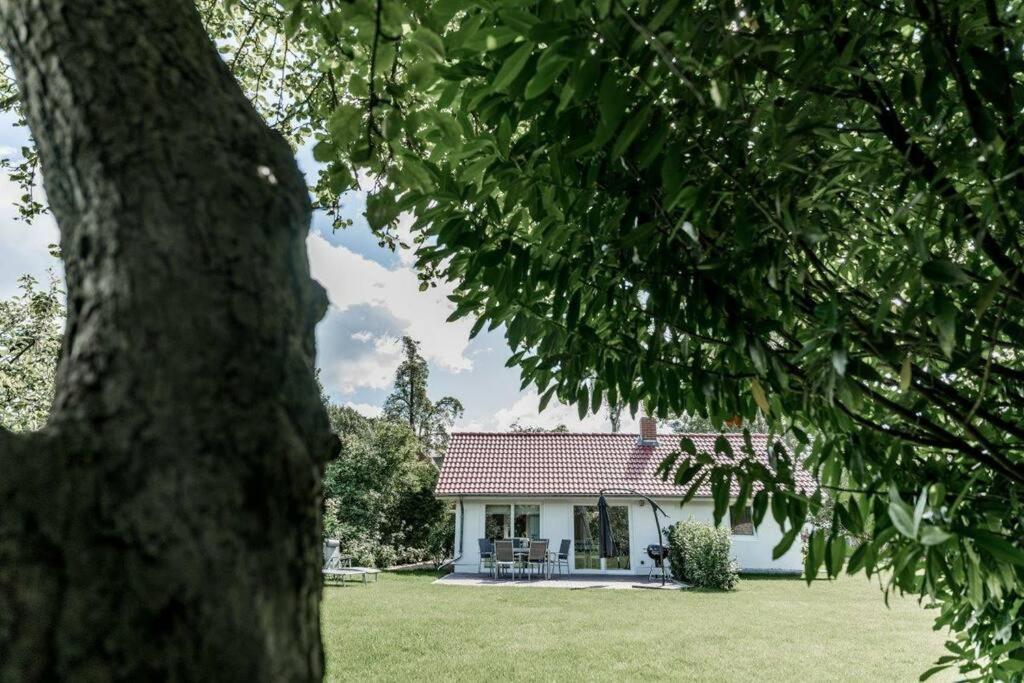 Hohwaii Cottage Hohwacht Esterno foto